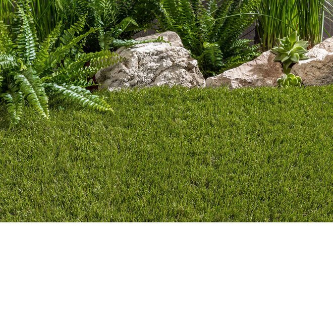 Mod�le Luxembourg / 40 mm