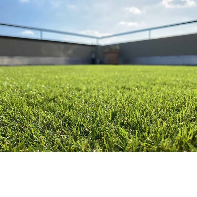 Mod�l Liechtenstein / 38 mm