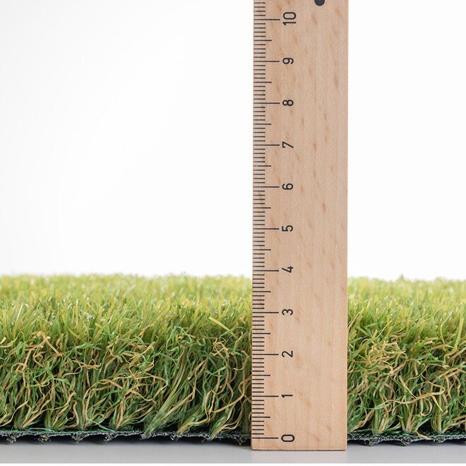 Mod�l Liechtenstein / 38 mm